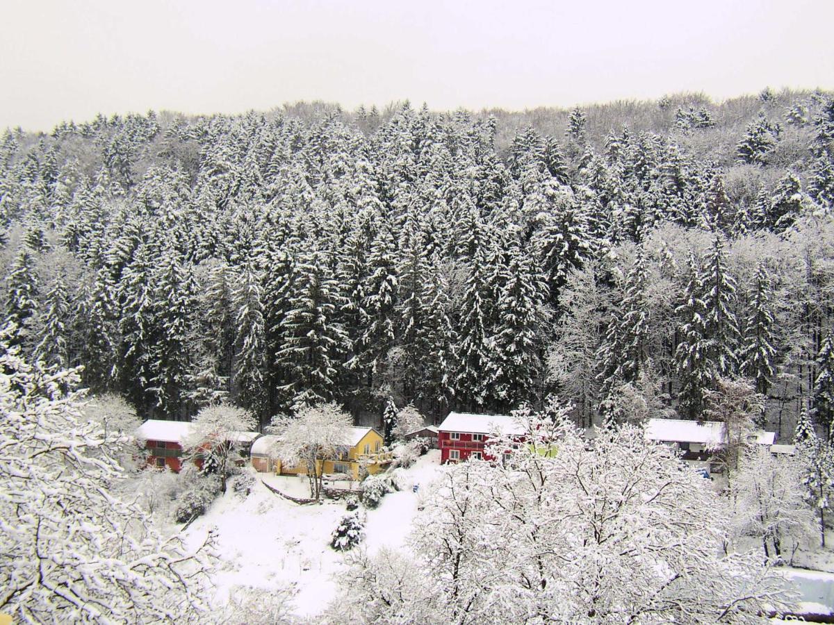 Gaestehaus Grau Egloffstein Exteriör bild